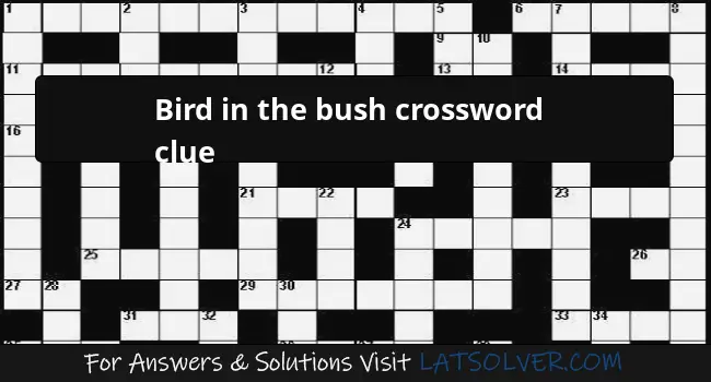 Bird In The Bush Crossword Clue LATSolver