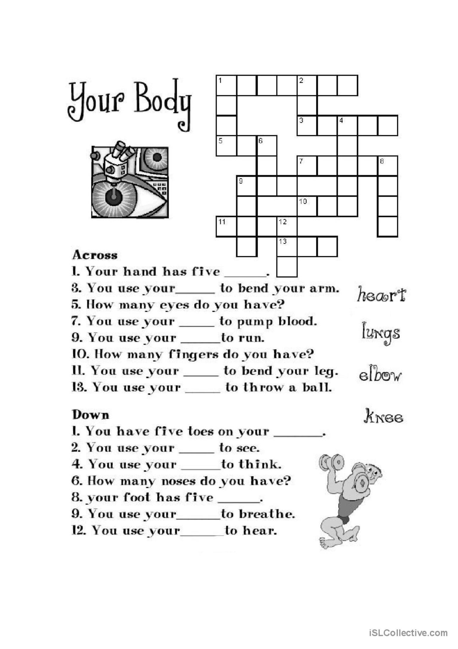 Body Crossword 01 Crossword English ESL Worksheets Pdf Doc