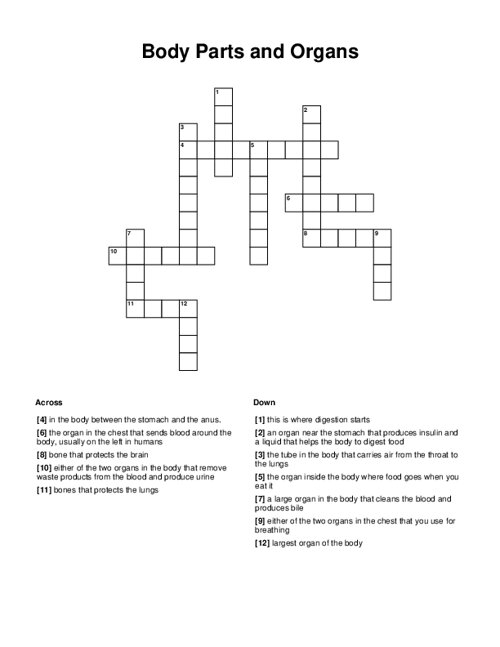 Body Parts And Organs Crossword Puzzle