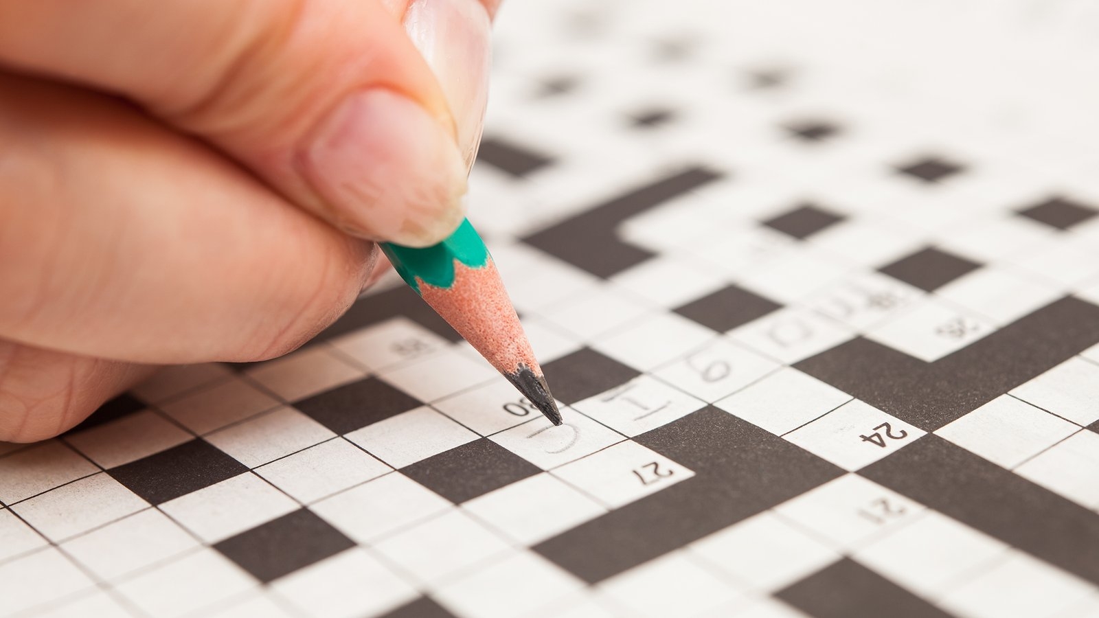 Daily Mirror Quick Crossword Guide To Solving And Enjoying 