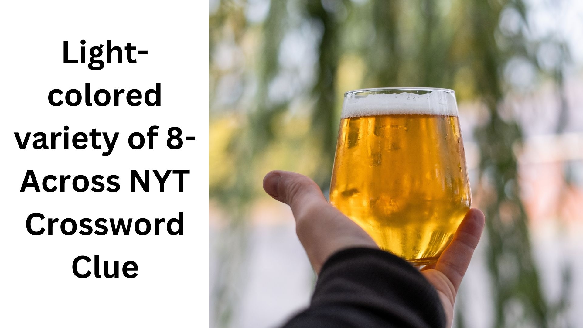 Light colored Variety Of 8 Across NYT Crossword Clue Light colored Variety Of 8 Across NYT Crossword Clue