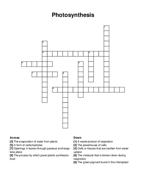 Photosynthesis Crossword Puzzle