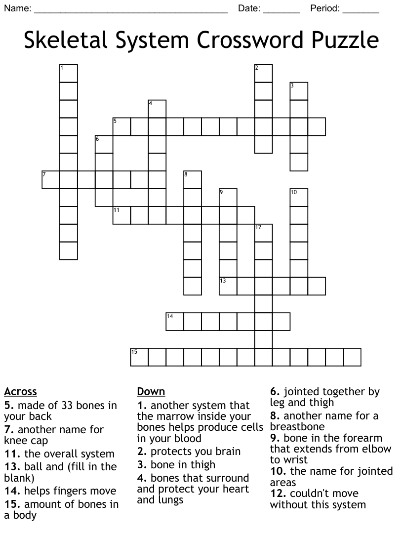 Printable Skeletal System Crossword Puzzle Free Crossword Puzzles 