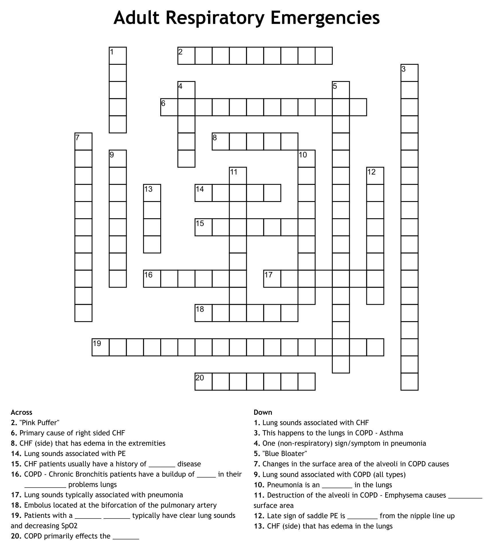 Sports Crossword Puzzles For Adults Printable Sally Crossword Puzzles