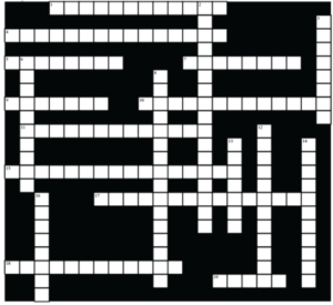 The Daily Mirror Classic Crossword A Daily Mind Workout Oxfordshiredaily