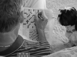 The Daily Mirror Quick Crossword A Quick Puzzle For Quick Minds