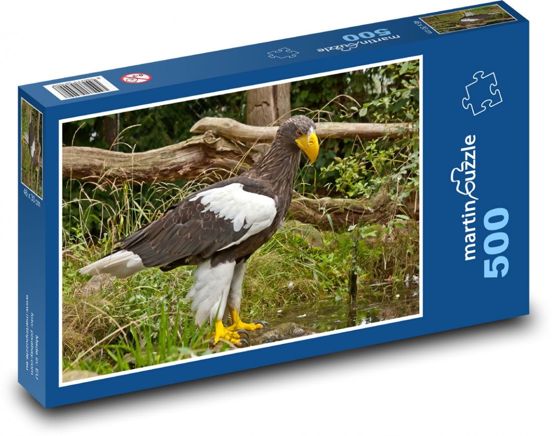The Eagles Puzzles Printable FREE Printables