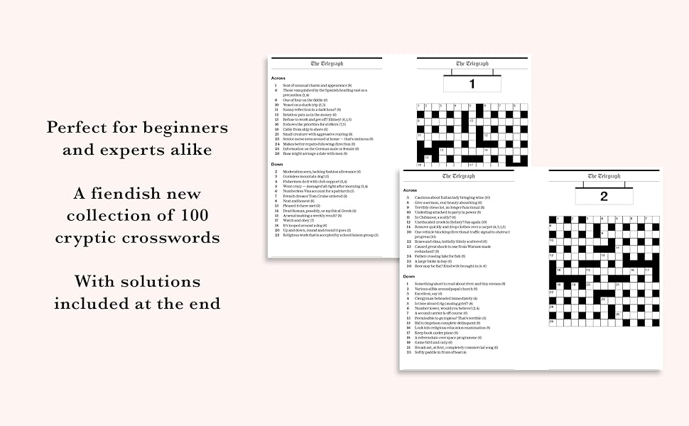The Telegraph Cryptic Crosswords 13 The Telegraph Puzzle Books 