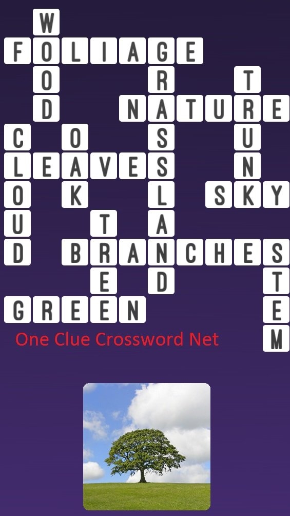Tree One Clue Crossword