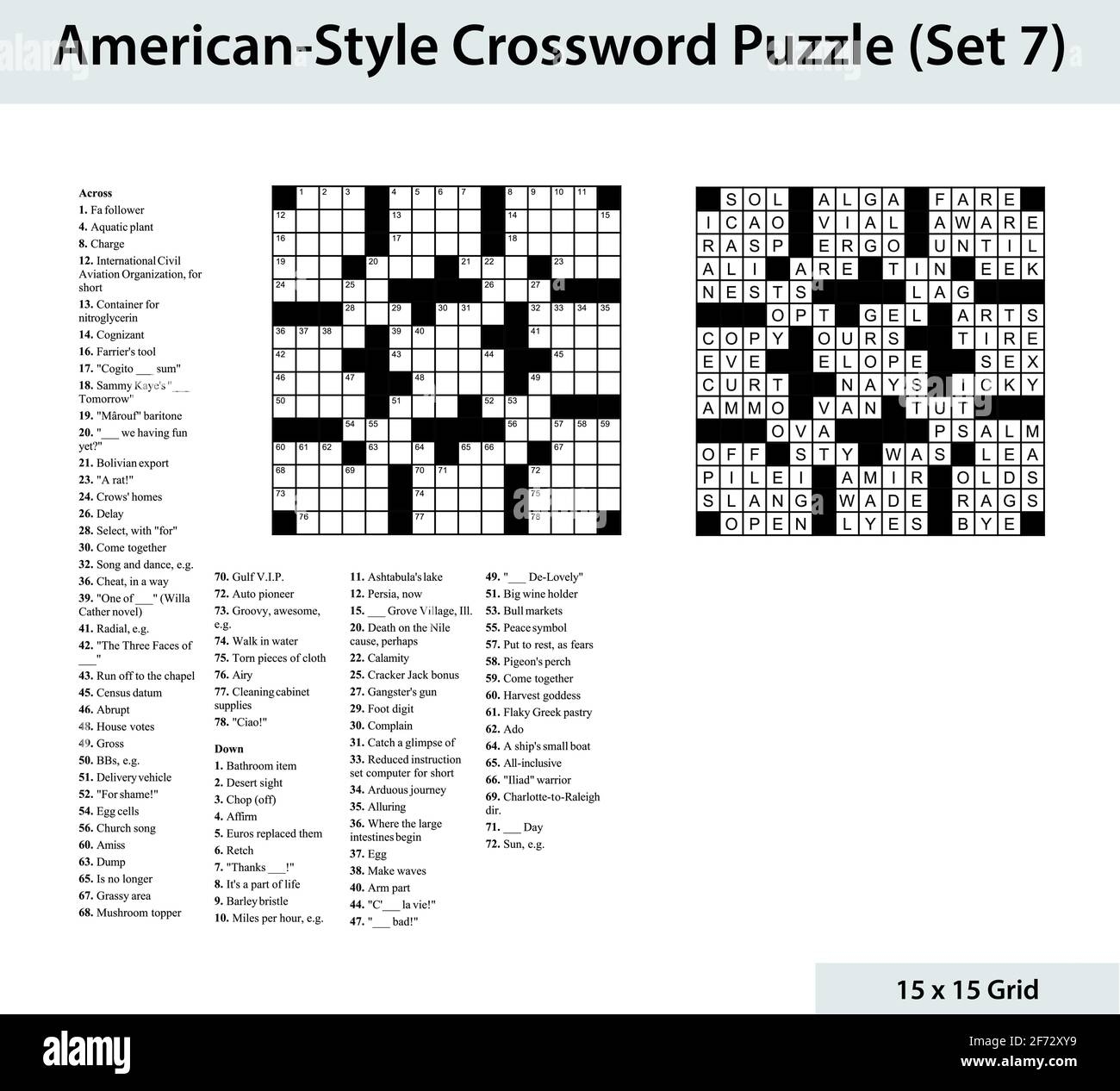 American Style Crossword Puzzle With A 15 X 15 Grid Includes Blank Crossword Grid Clues And Solution Stock Vector Image U0026 Art Alamy