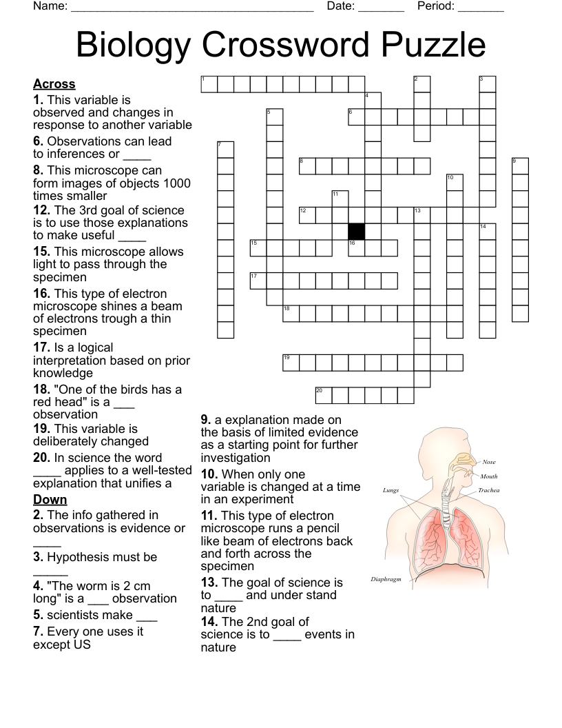 Basic Biology Crossword WordMint