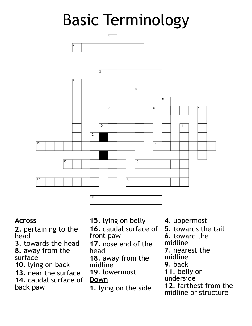 Basic Terminology Crossword WordMint