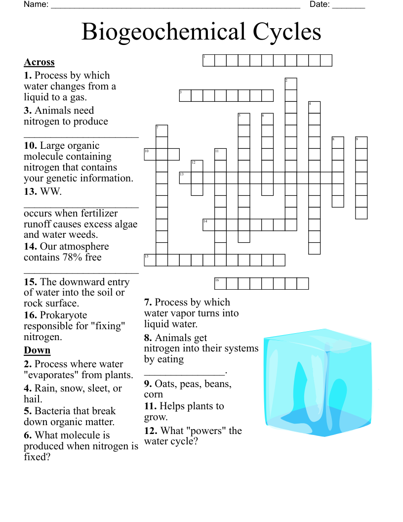Biogeochemical Cycles Crossword WordMint