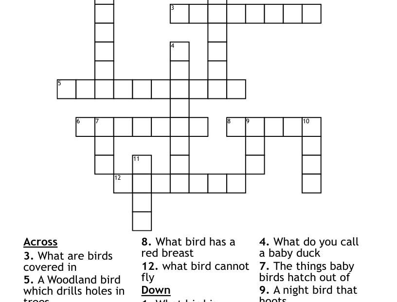 Bird Crossword WordMint