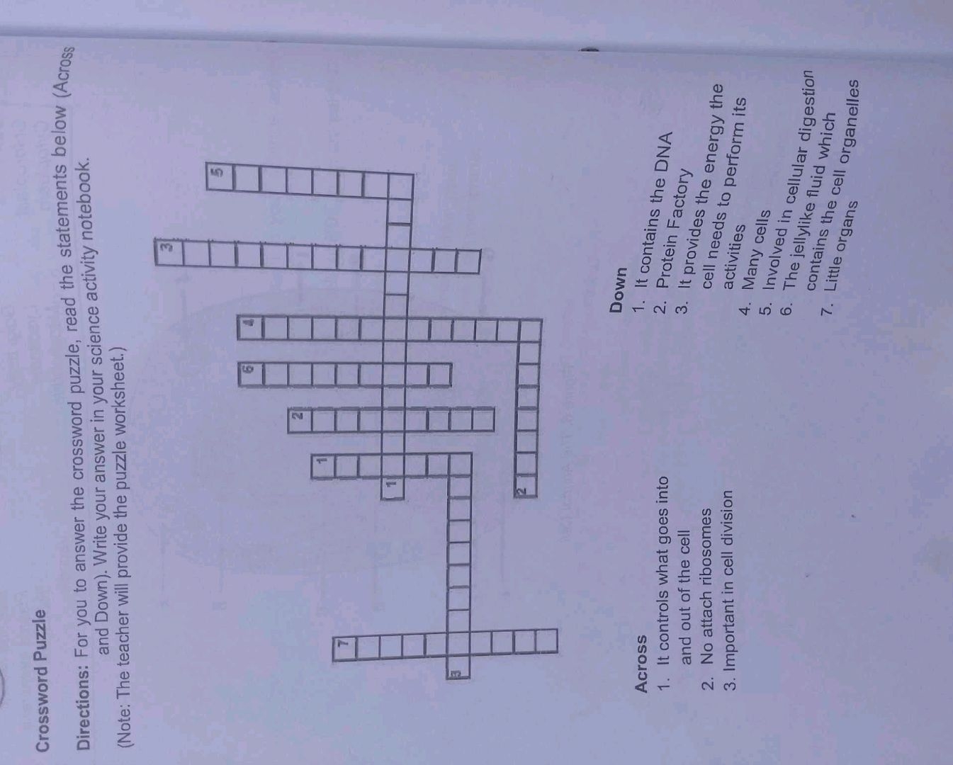 Crossword Puzzle Directions For You To StudyX
