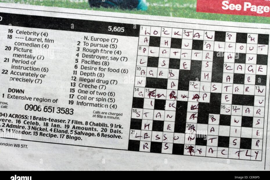 Daily Mail Newspaper 24th December 2010 Crossword Puzzle Completed Stock Photo Alamy