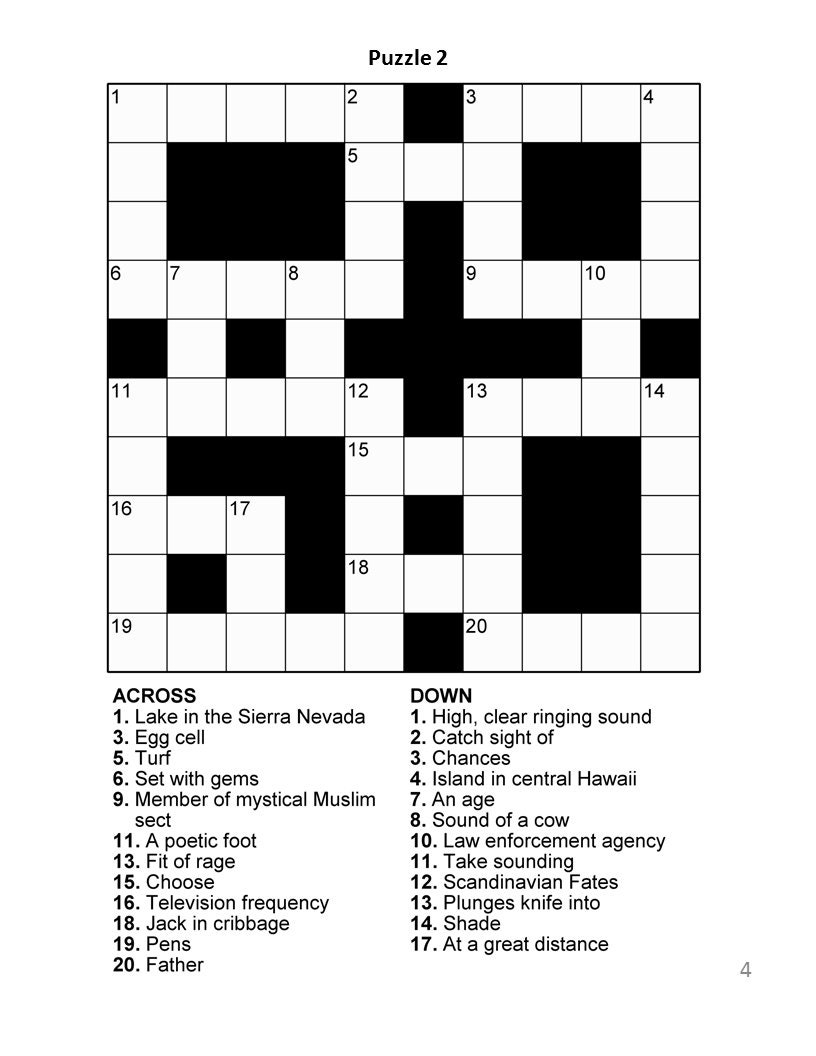 Digital Download 100 Printable Crossword Puzzles For Adults Fun Activities Book For Seniors Large Print Easy To Read Games With Solutions Etsy Australia