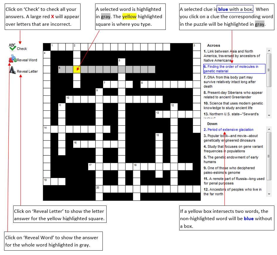Interactive Crossword Puzzle Overview Today s Science