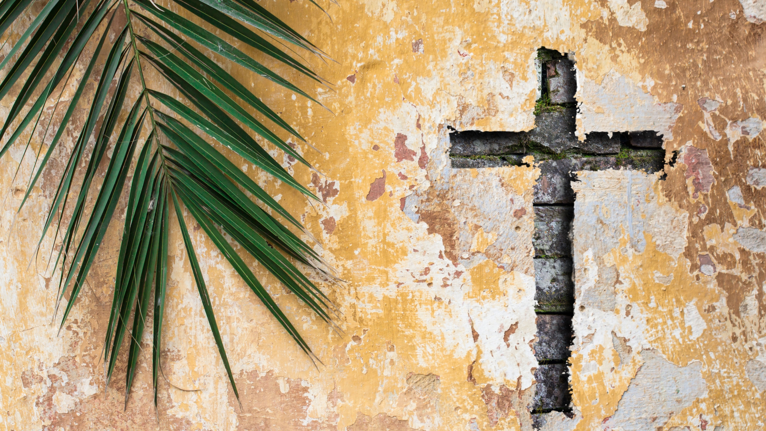 Palm Sunday Mass 2021