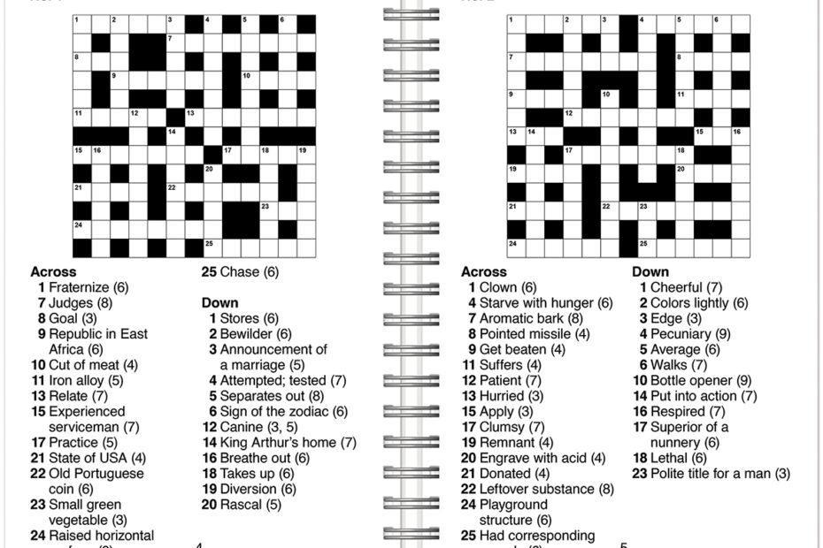 Raincoast Group Large Print Crossword Puzzles Pink