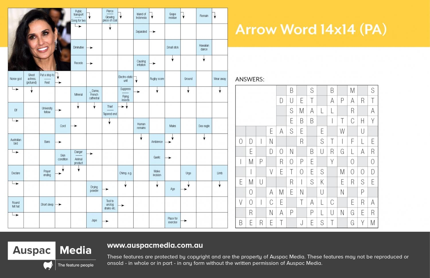 Arrow Word 14x14 PA Arrow Word 14x14 PA