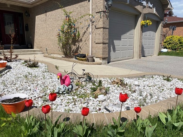 Flower Rain The Canada Times