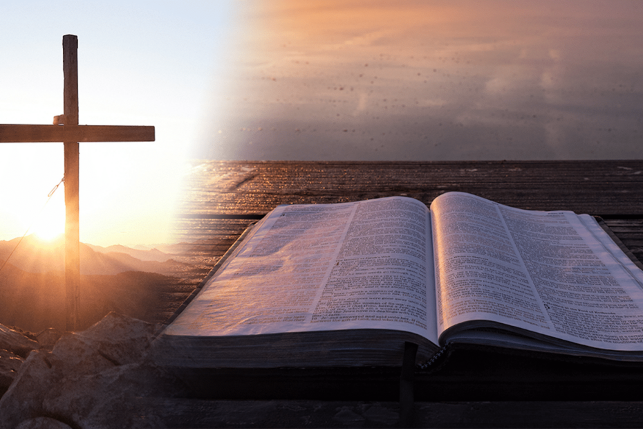 Daily Gospel December 11